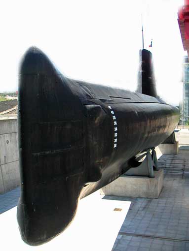 argonaute