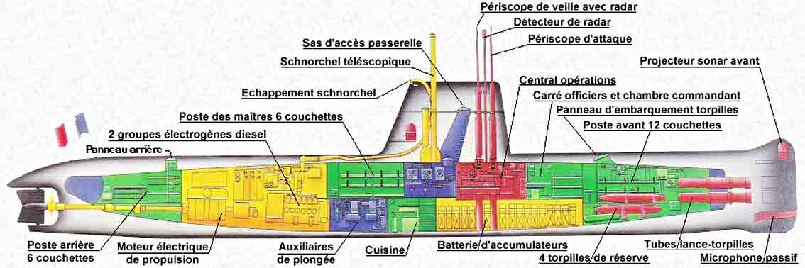 coupe de l'Ariane