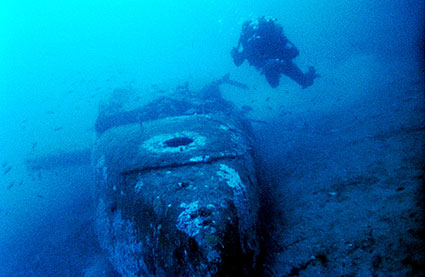 le nez du dornier 24