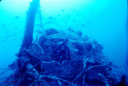 moteur de Dornier 24